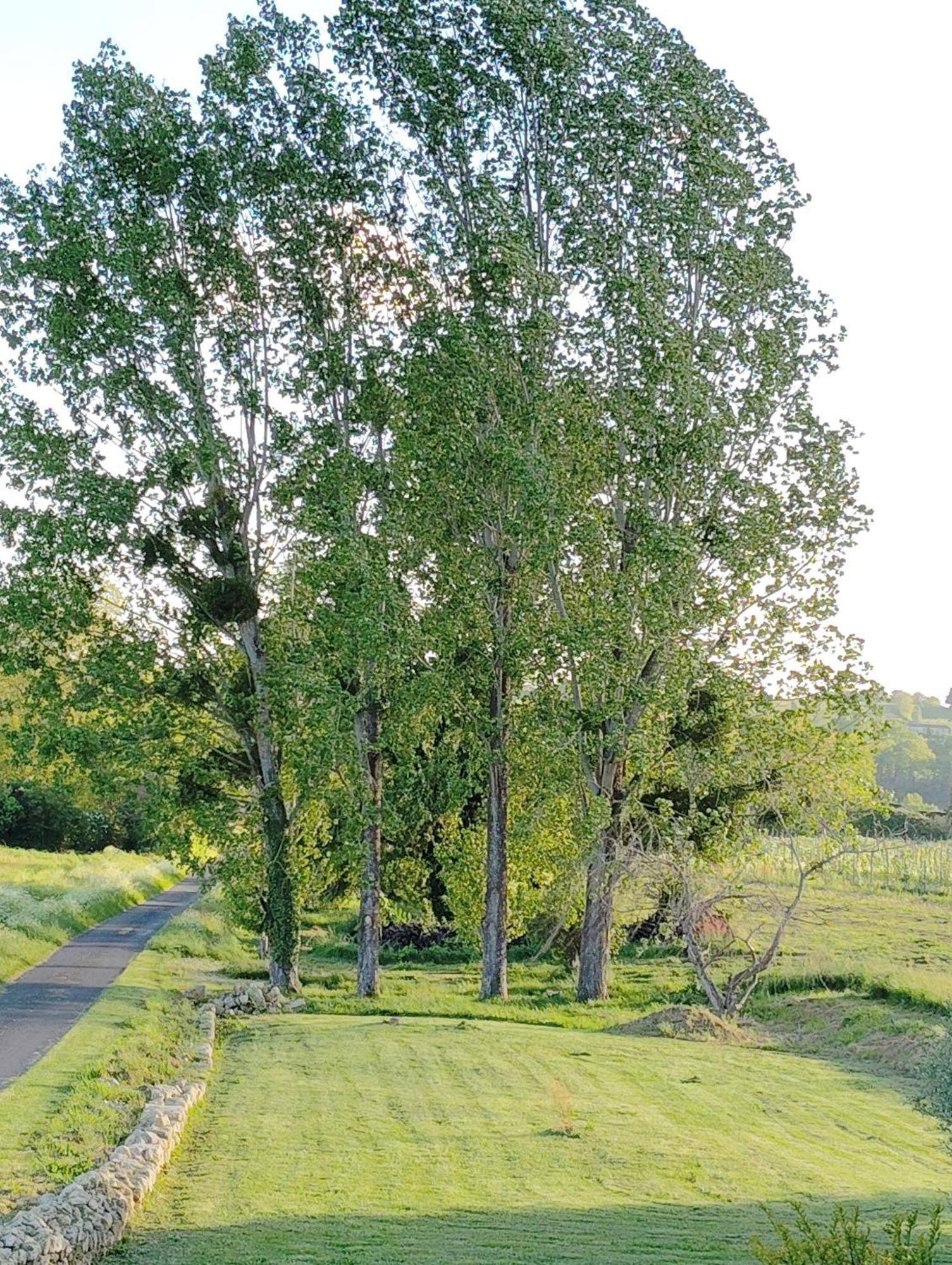 Gite L'Edenwine Doulezon Exterior photo