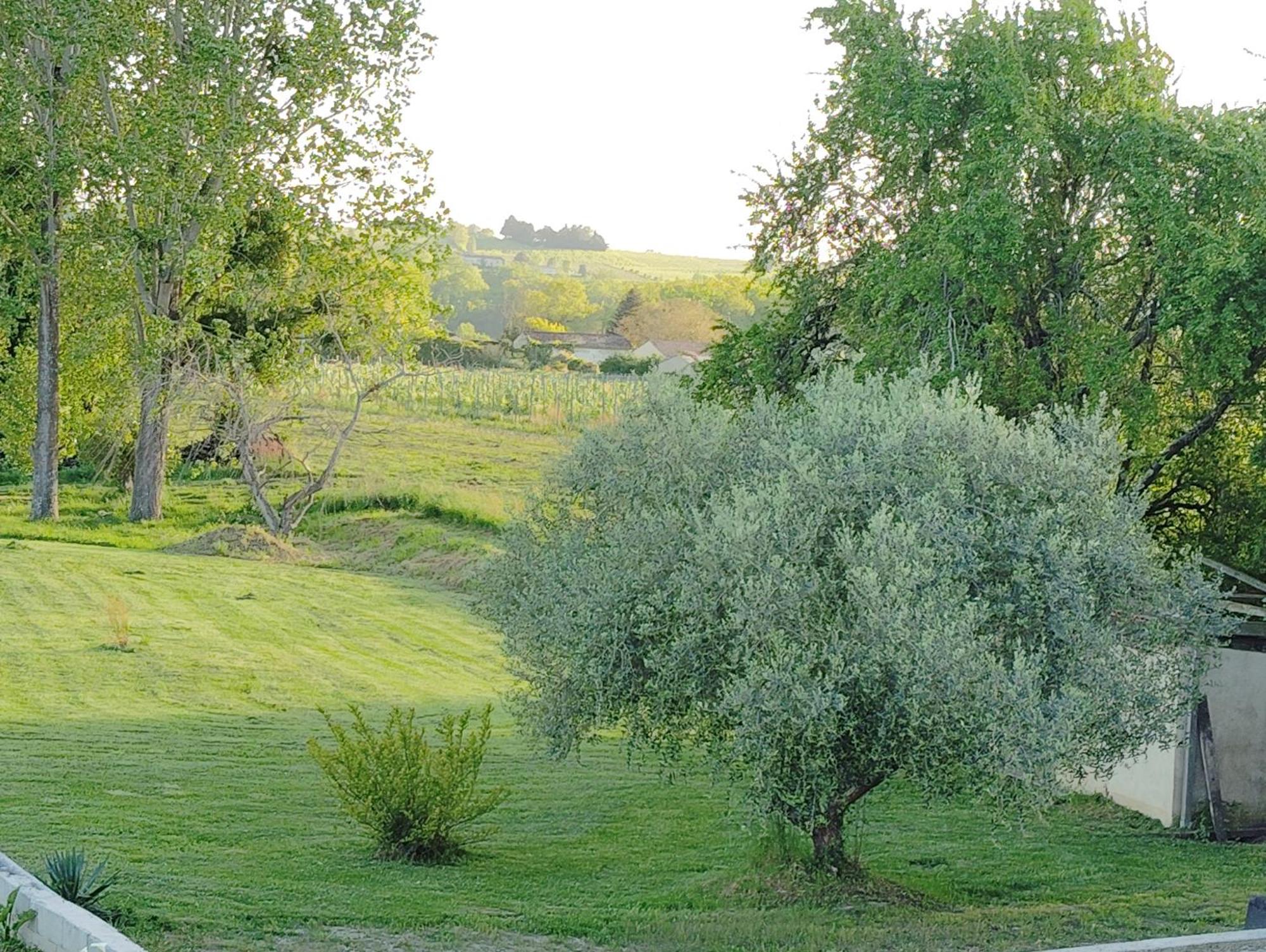 Gite L'Edenwine Doulezon Exterior photo