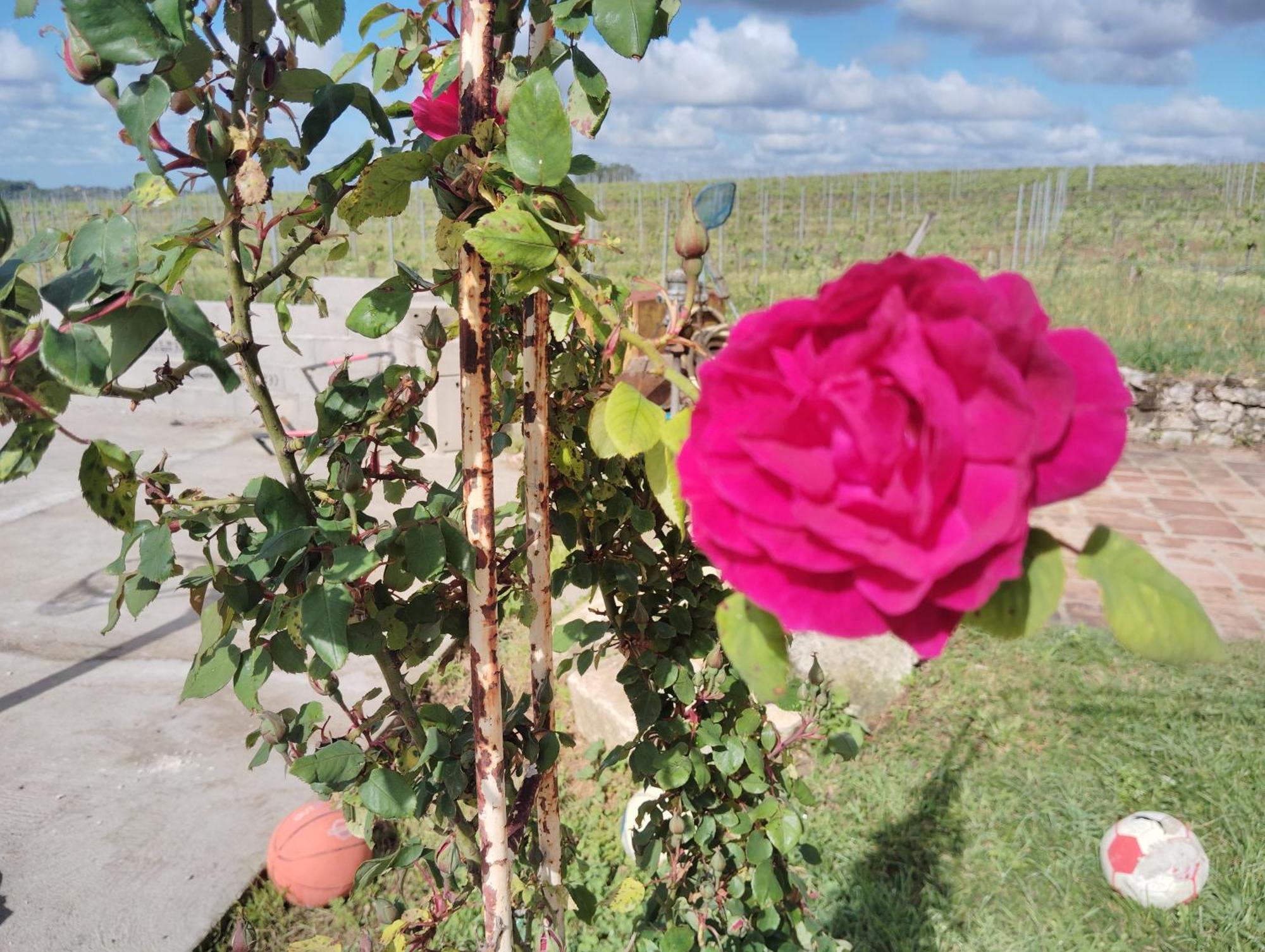 Gite L'Edenwine Doulezon Exterior photo